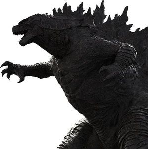 Meet your Posher, Brady